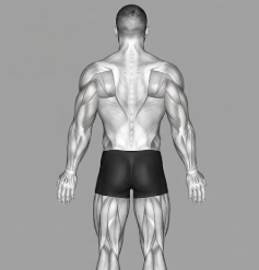 The 15 Minute Workout